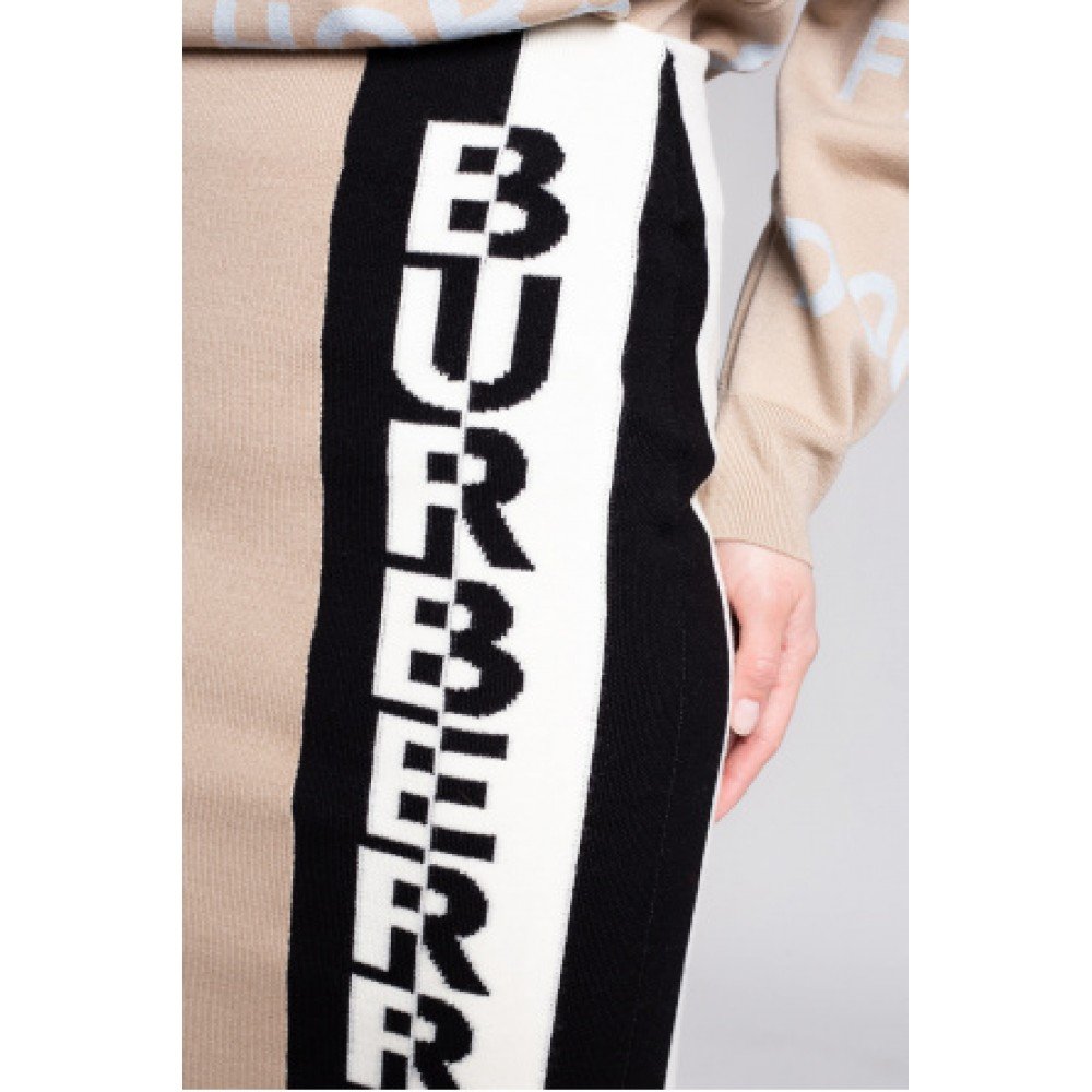 burberry skirt